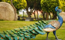 簡述城市雕塑的紀念性、裝飾性和標志性